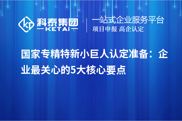 國(guó)家專精特新小巨人認(rèn)定準(zhǔn)備：企業(yè)最關(guān)心的5大核心要點(diǎn)