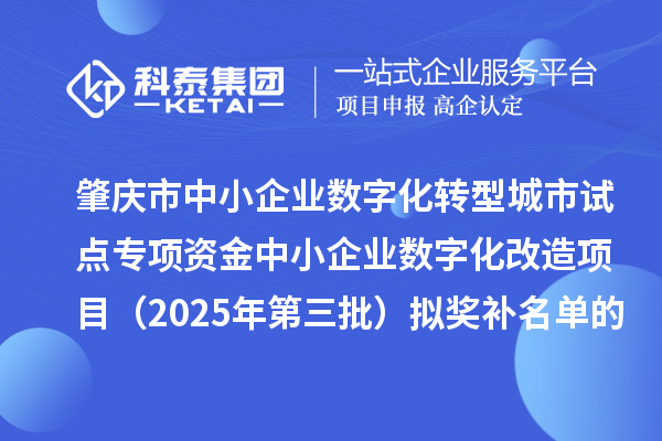 肇慶市中小企業數字化轉型城市試點專項資金中小企業數字化改造項目(2025年第三批)擬獎補名單的公示