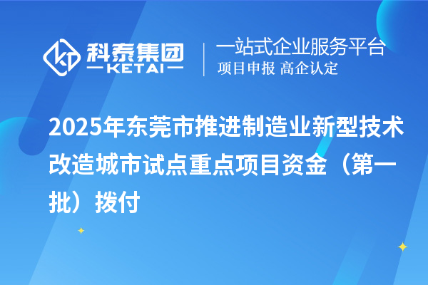 2025年東莞市推進制造業新型技術改造城市試點重點項目資金（第一批）撥付